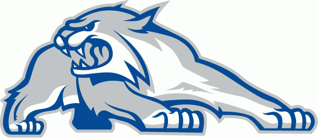 New Hampshire Wildcats 2000-Pres Alternate Logo t shirts DIY iron ons v2